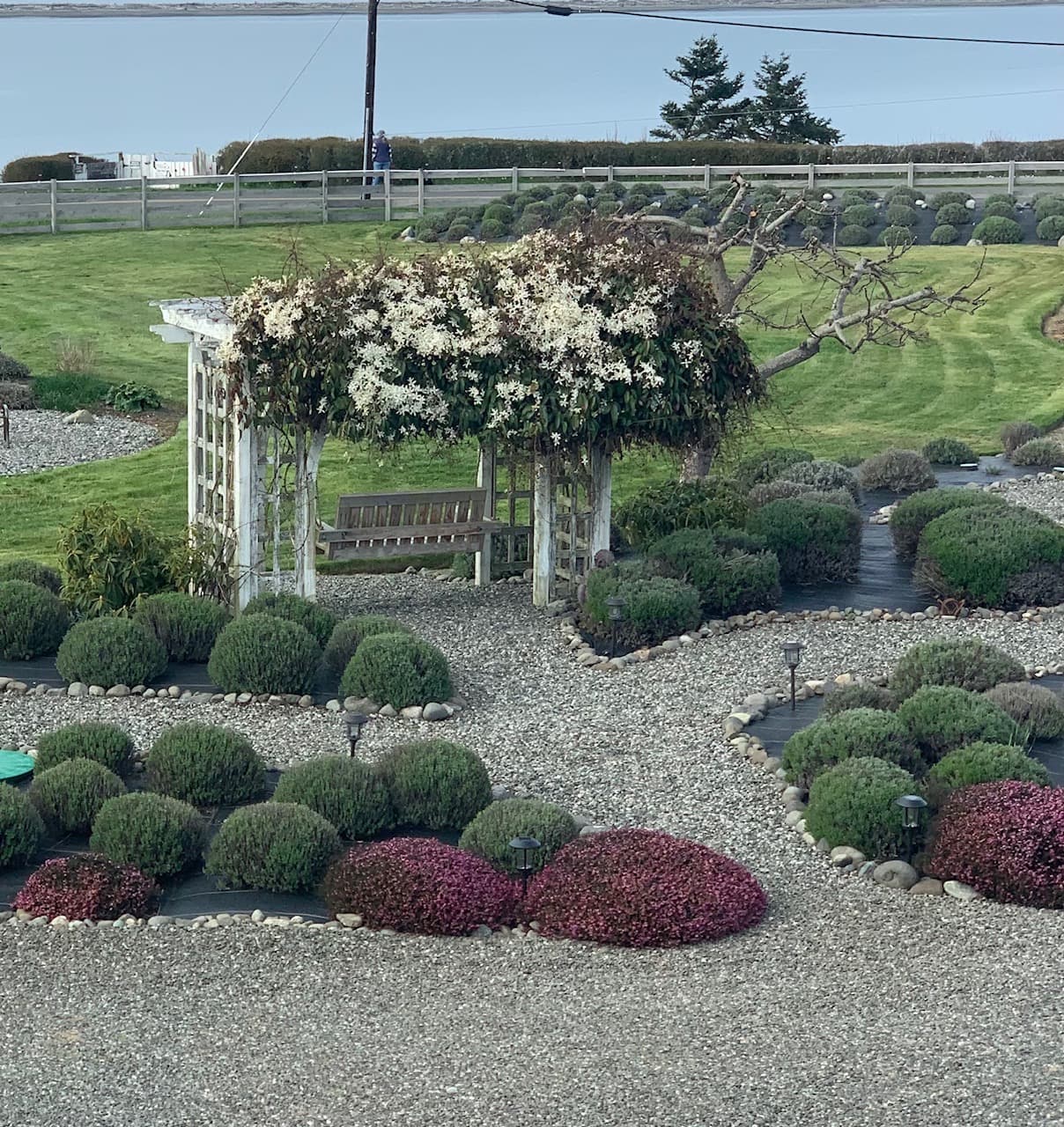 A white garden arbor covered in lush climbing plants with white flowers, featuring a wooden garden swing nestled underneath, surrounded by a gravel path and manicured rows of green and burgundy shrubs.