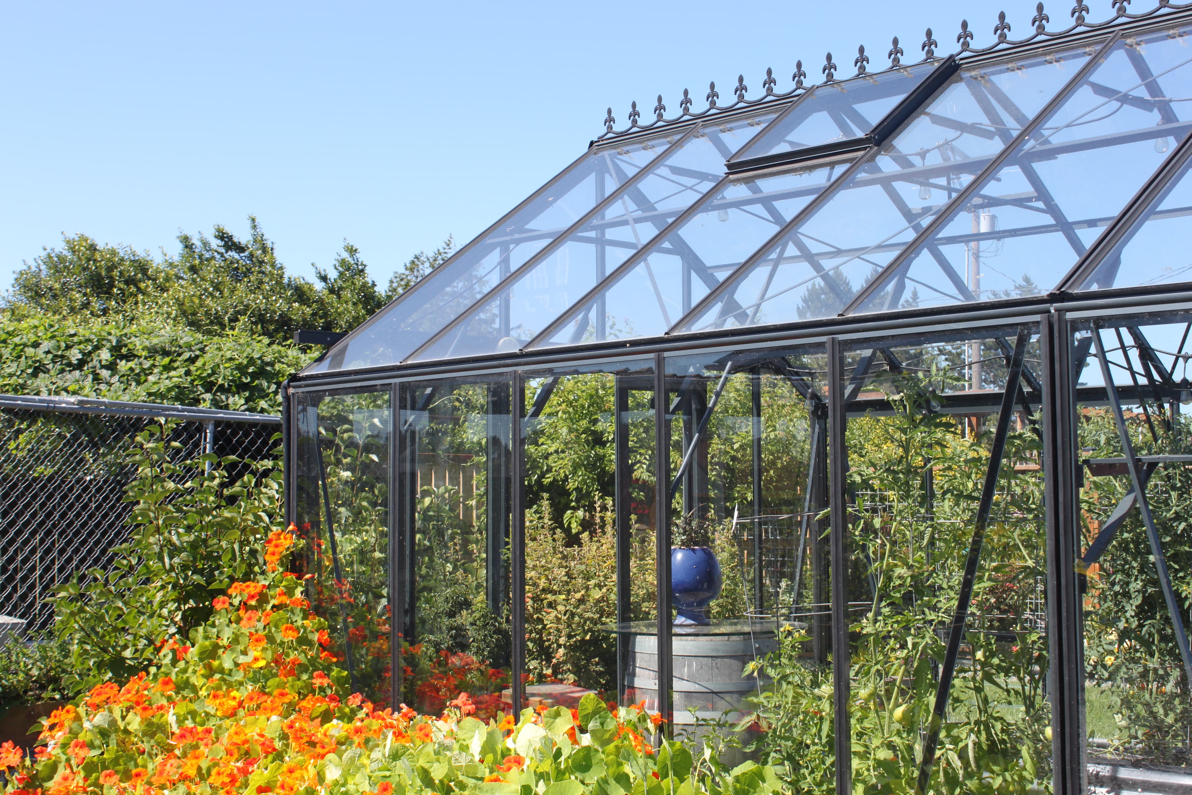 A large, black-framed glass greenhouse with a vaulted roof and decorative cresting, surrounded by vibrant orange flowers and lush greenery under a clear blue sky.