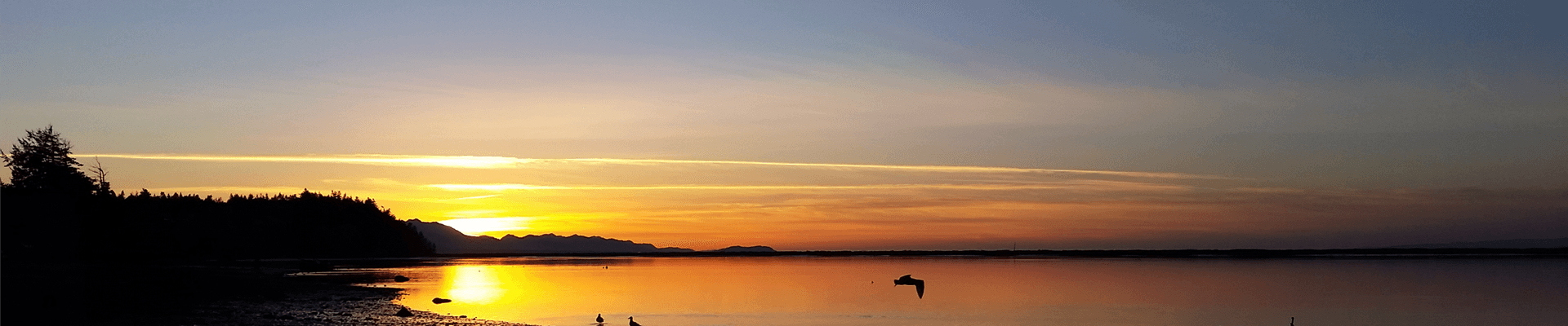 Panoramic view of a sunset over a calm lake with silhouetted trees and mountains in the background.