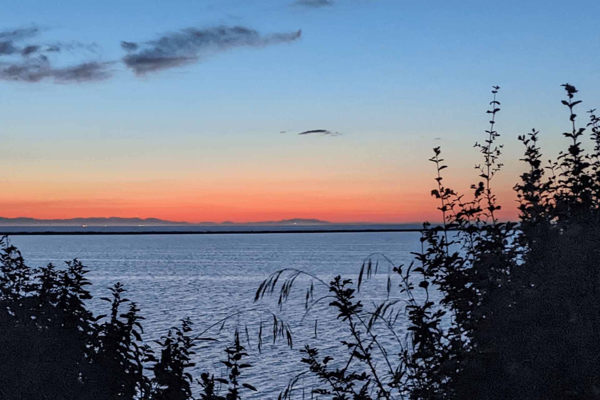 A serene sunset over calm water, framed by silhouetted foliage.